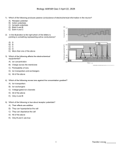 Biology Quiz: Neuron Electrochemistry