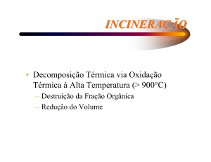 Incinera&ccedil;&atilde;o: Processo, Tecnologias e Padr&otilde;es de Emiss&atilde;o