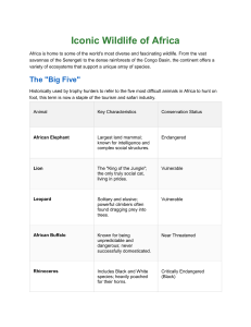 Iconic Wildlife of Africa: Big Five & Savanna Species