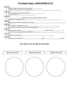 Kingdom Monera Worksheet: Bacteria Questions & Drawings