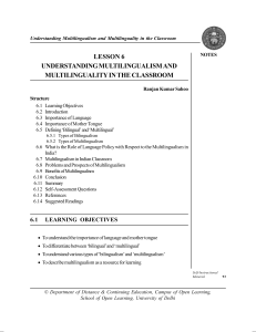 Understanding Multilingualism in the Classroom