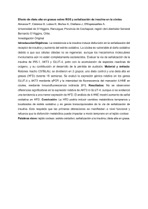 Efecto de dieta alta en grasas sobre ROS y se&ntilde;alizaci&oacute;n de insulina en la c&oacute;clea