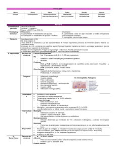 Cocos Gram-Negativos: Neisseria, Moraxella, Kingella