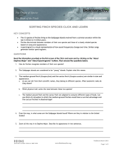 Finch Species Sorting Worksheet: Evolution & Spectrograms