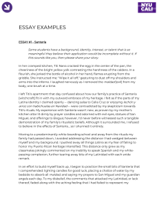 ESSAY EXAMPLES