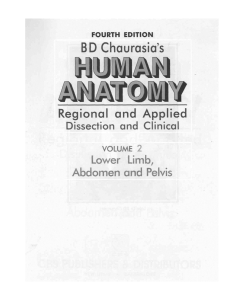 BD Chaurasia's Human Anatomy Volume 2: Lower Limb, Abdomen & Pelvis