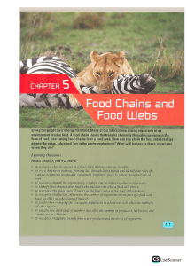 Food Chains and Food Webs Chapter