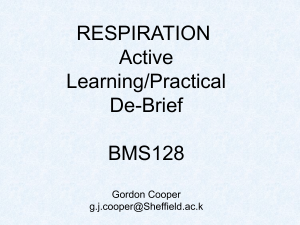 Respiration Practical Lab De-Brief: Lung Volumes & Ventilation