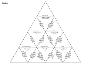 Puzzle Tarsia de Biolog&iacute;a Celular para Estudiantes