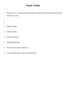 Study Guide: Prenatal Development & Embryology