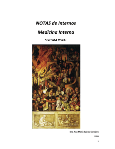 Notas Internos Medicina Interna Sistema Renal