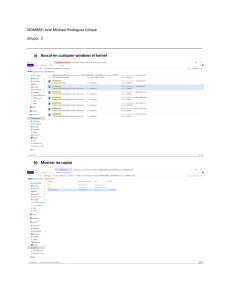 An&aacute;lisis de Kernels en Windows: Monol&iacute;tico vs Microkernel