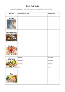 Basic Nutrients Worksheet