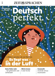 Deutsch perfekt PLUS &Uuml;bungsheft