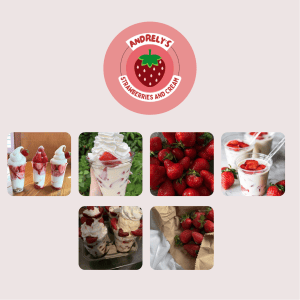 Plan de Negocio: Andrely's Fresas con Crema
