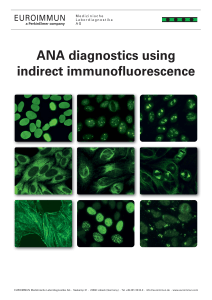 ANA Diagnostics: Indirect Immunofluorescence Guide