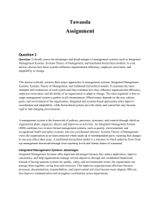 Management Systems Assignment: Advantages & Disadvantages