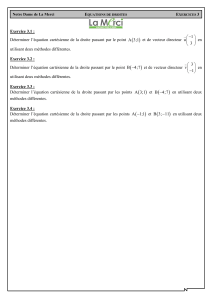 Exercices 3 : &Eacute;quations de droites