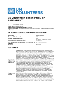 UN Volunteer Assignment: Social Media Support for BHR Youth Dialogue