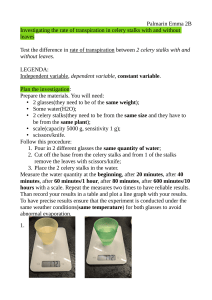 Celery Transpiration Experiment: Leaves vs No Leaves