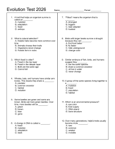 Evolution Test 2026 Multiple Choice Quiz