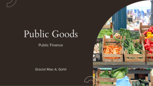 Public Goods in Public Finance: Characteristics & Provision