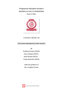 Projektrapport om Information Management Expert System