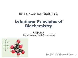 Cap&iacute;tulo 7 Lehninger Bioqu&iacute;mica: Carbohidratos y Glicobiolog&iacute;a