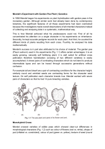 Mendel's Pea Plant Experiments: Genetics Basics