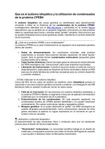 Autismo idiop&aacute;tico y condensados de CPEB4: Investigaci&oacute;n y terapias
