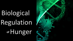Biological Regulation of Hunger: Appetite & Eating Disorders