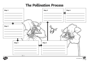 The Pollination Process Worksheet