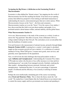Navigating the Big Picture: Macroeconomics Reflection