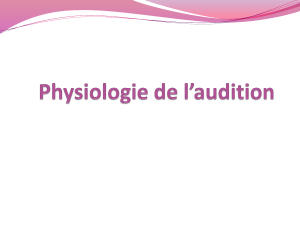 Physiologie de l'audition : m&eacute;canismes de l'audition humaine