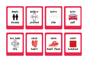 Grade 5 Science Prefix Flashcards