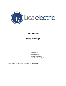 Luca Electric Safety Meetings Manual 2021