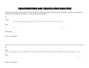 Transcription and Translation Practice Worksheet