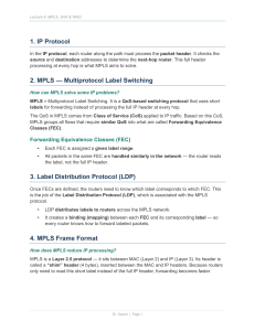Lecture 8: MPLS, SAN & RAID