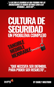 Cultura de Seguridad: Un Problema Complejo