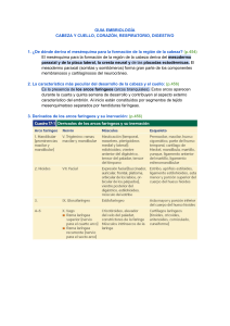 Gu&iacute;a de Embriolog&iacute;a: Cabeza, Coraz&oacute;n, Respiratorio, Digestivo