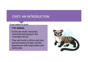 Civet: An Introduction to the Animal and Its Musk