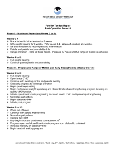 Patellar Tendon Repair Post-Op Protocol