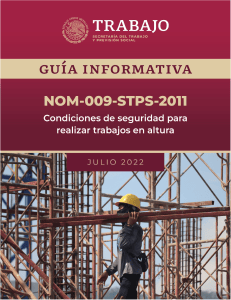 Gu&iacute;a de Seguridad para Trabajos en Altura NOM-009-STPS-2011