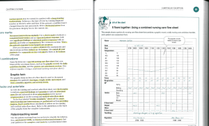 Nursing Charting Systems: Documentation Guide