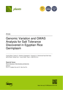 Genomic Variation and GWAS for Salt Tolerance in Egyptian Rice