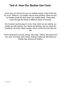 How Our Bodies Use Food: Elementary Nutrition Guide