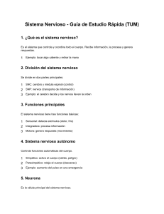 Gu&iacute;a de Estudio R&aacute;pida del Sistema Nervioso
