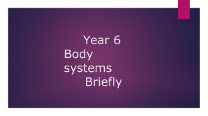 Year 6 Body Systems Overview