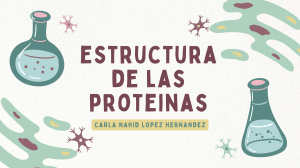 Estructura de las Prote&iacute;nas: Niveles de Organizaci&oacute;n
