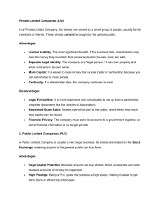 Private vs Public Limited Companies: Advantages & Disadvantages